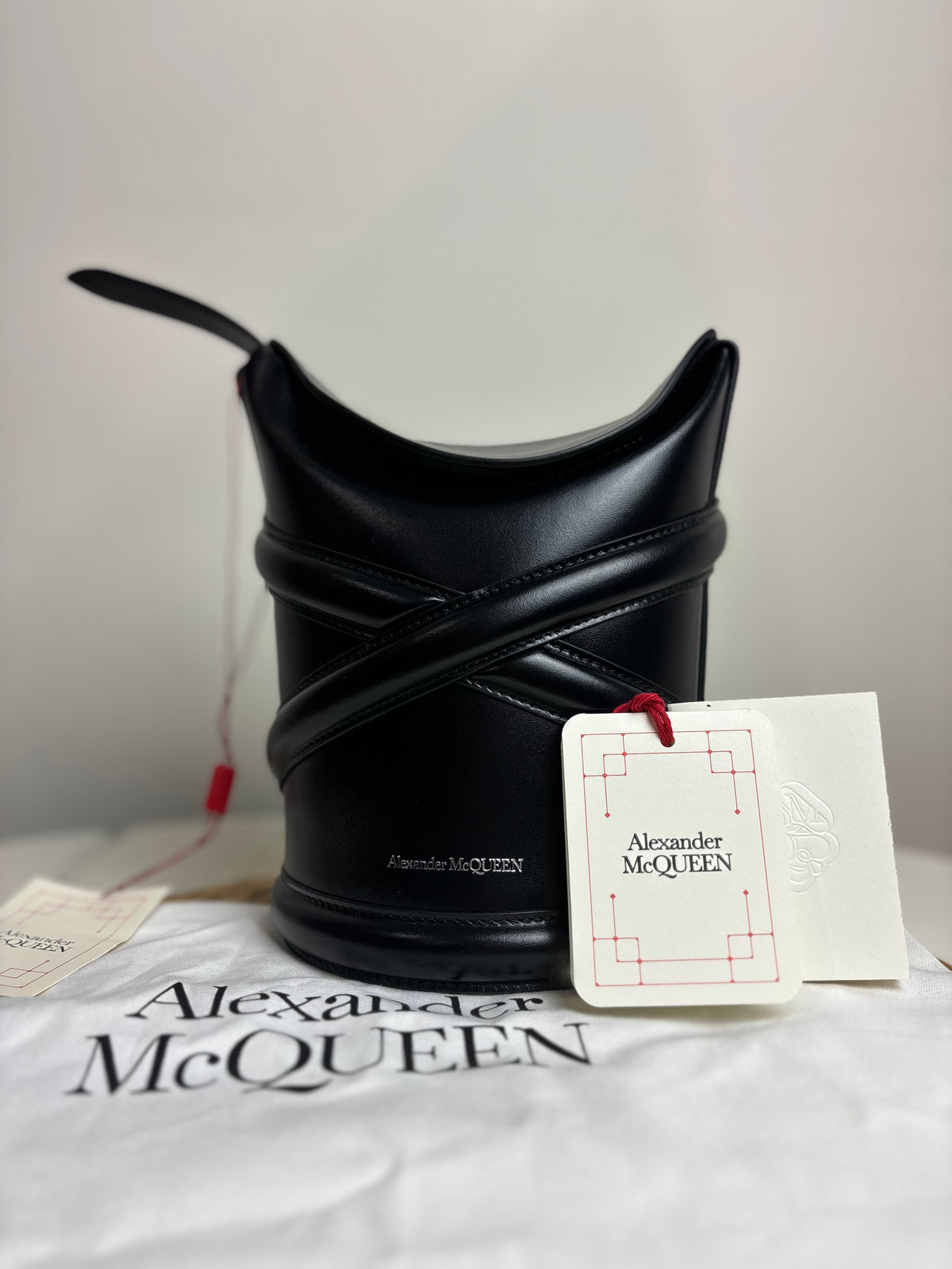 Alexander McQueen The Curve Bucket Bag