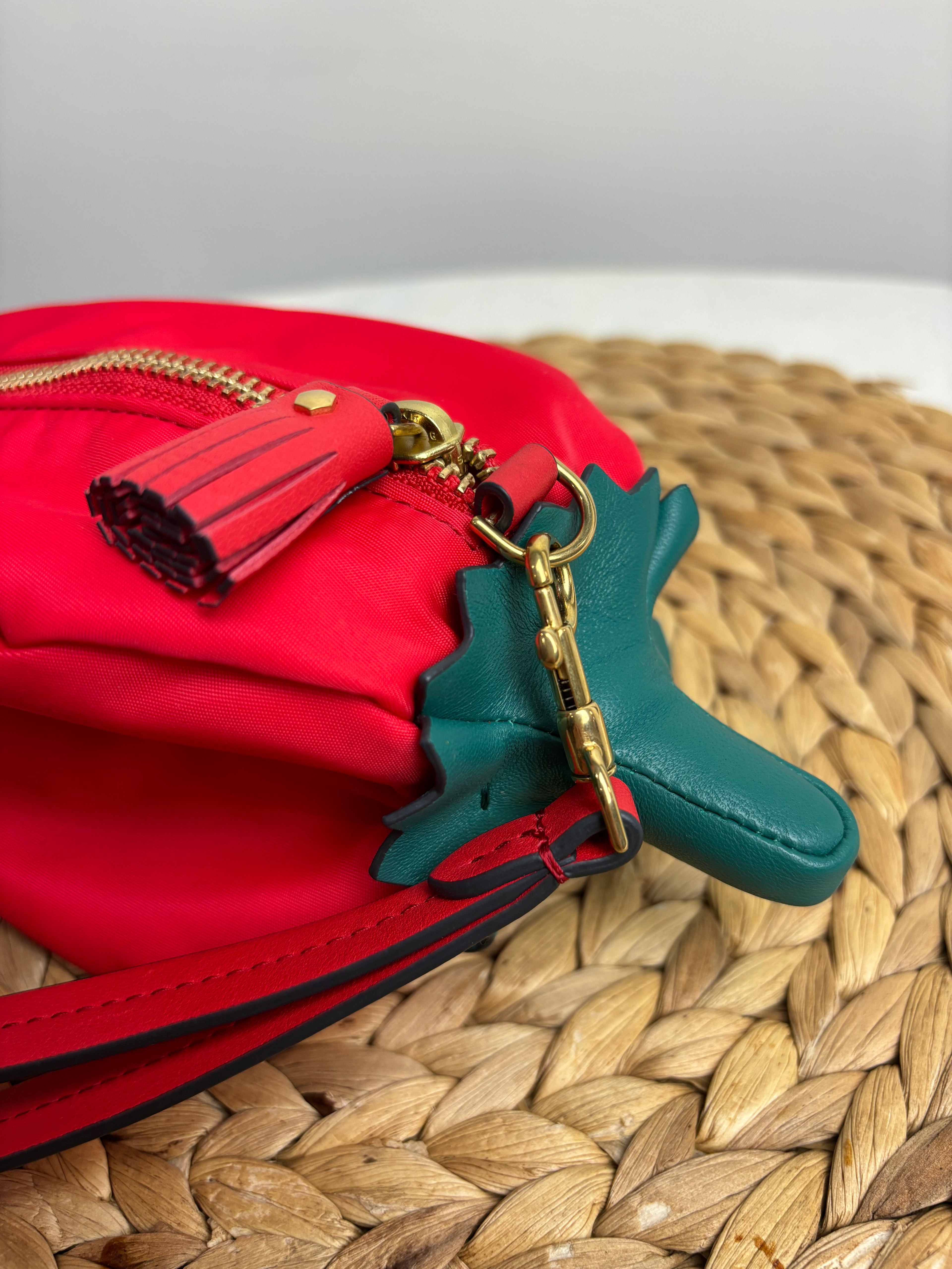 Anya Hindmarsh Pepper Leather-Trimmed Nylon Pouch