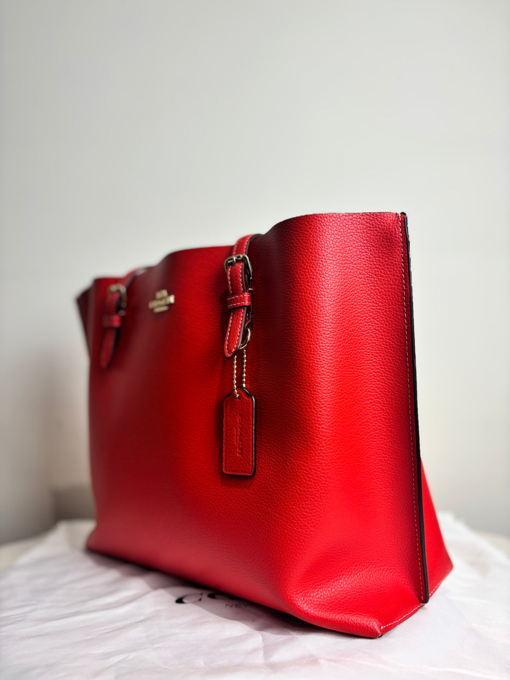 Coach Mollie Tote Bag