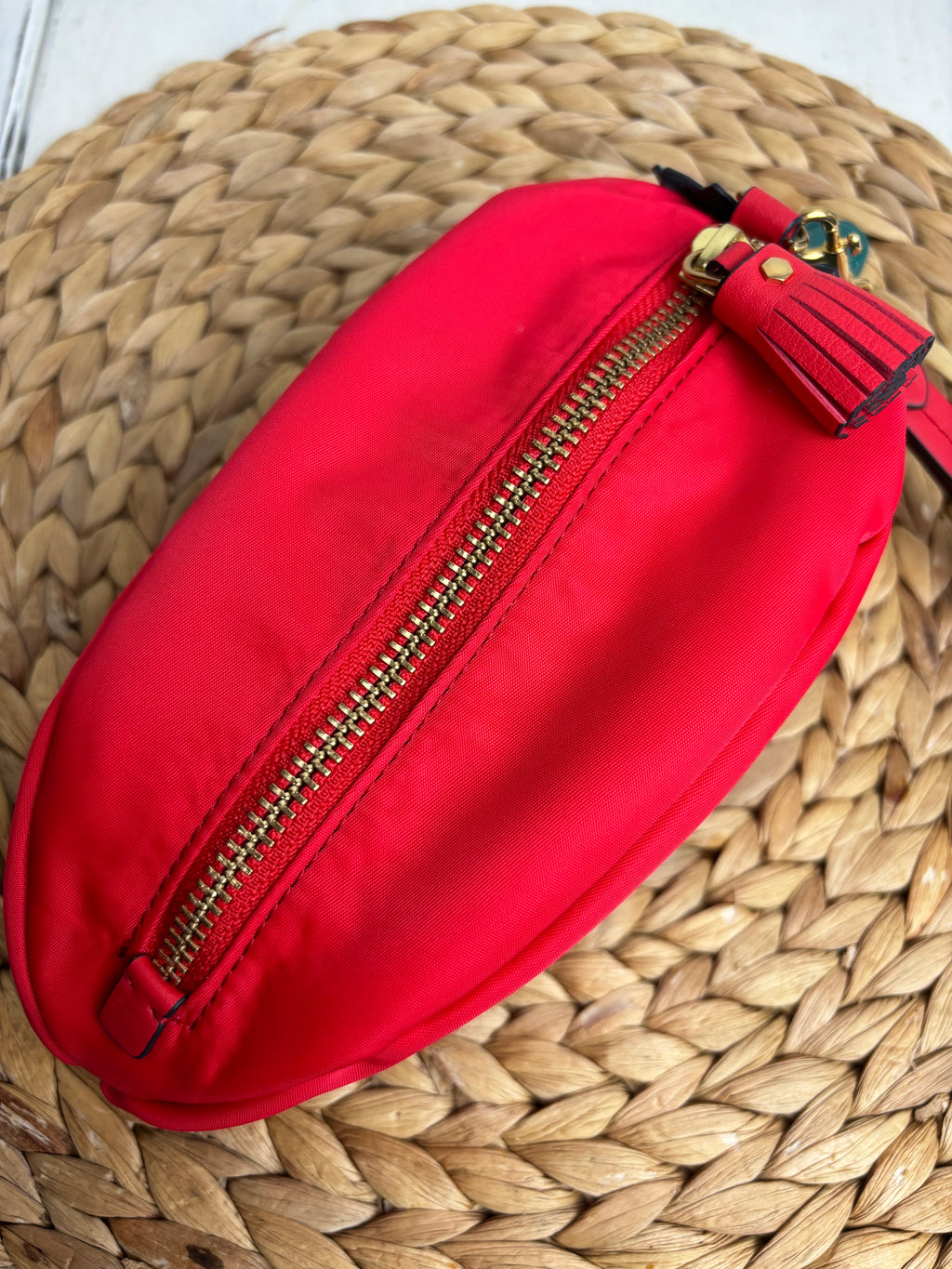 Anya Hindmarsh Pepper Leather-Trimmed Nylon Pouch