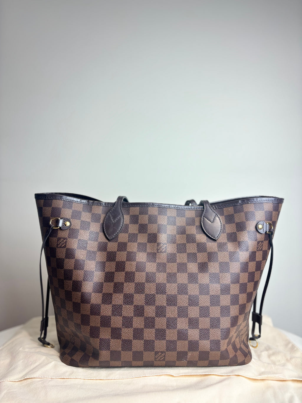 Louis Vuitton Neverfull MM Tote