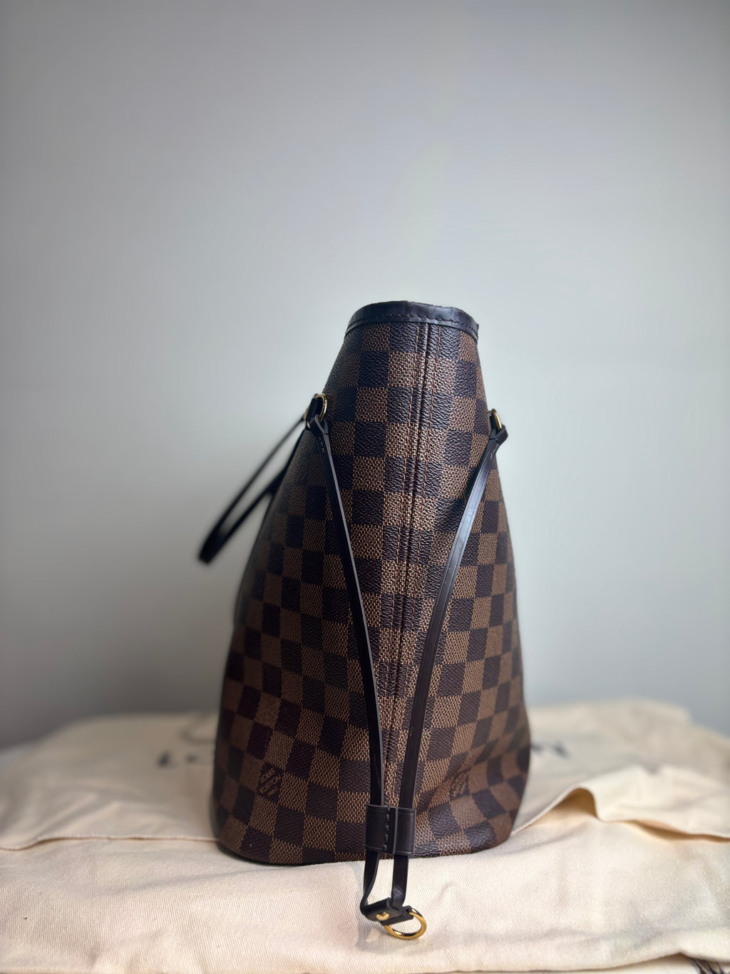 Louis Vuitton Neverfull MM Tote