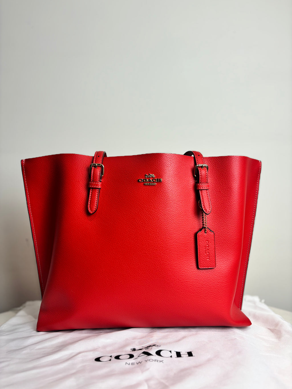 Coach Mollie Tote Bag