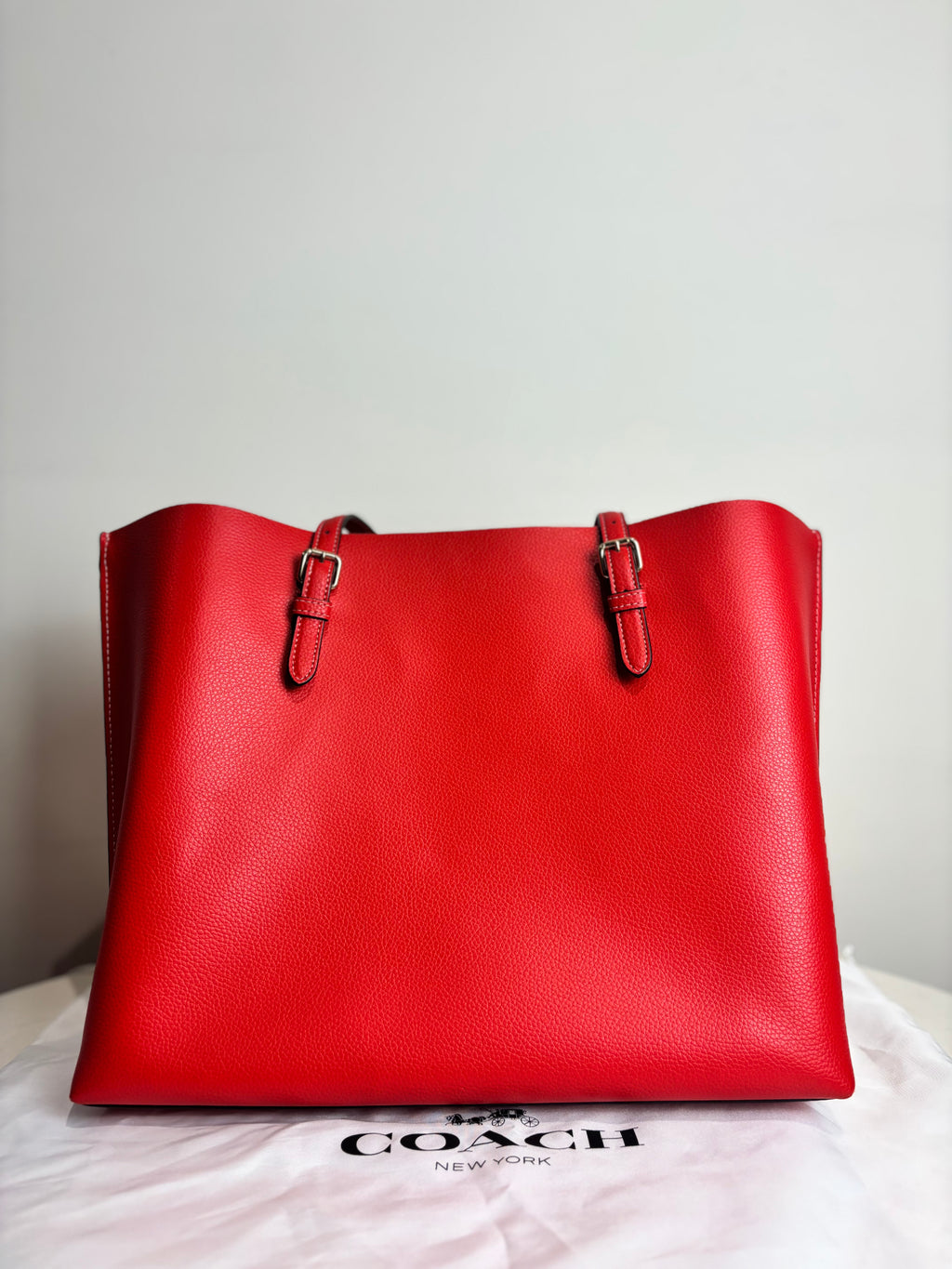 Coach Mollie Tote Bag