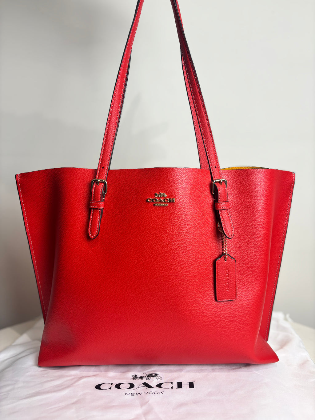 Coach Mollie Tote Bag