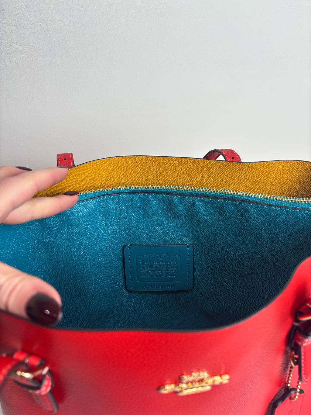 Coach Mollie Tote Bag